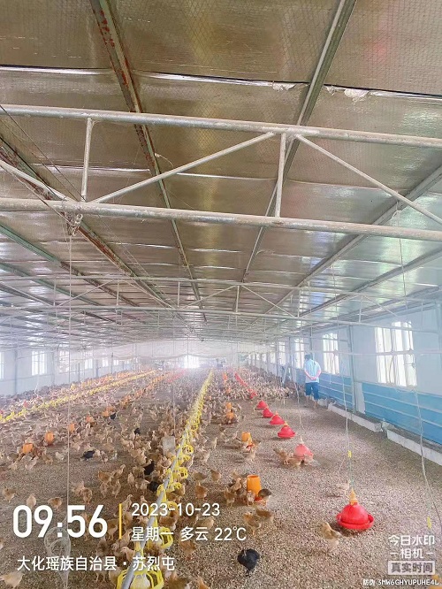 微信圖片_20231031093913.jpg
