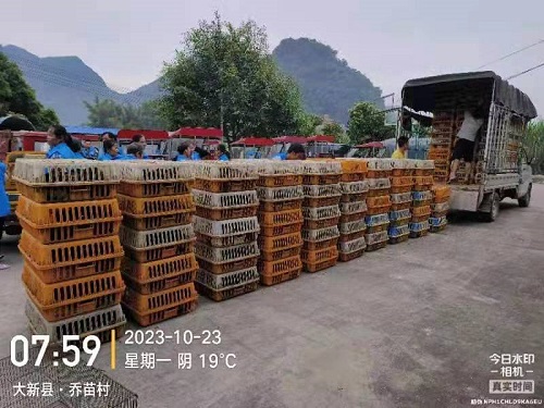 微信圖片_20231031093900.jpg
