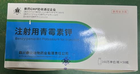 微信截圖_20241017112436.jpg