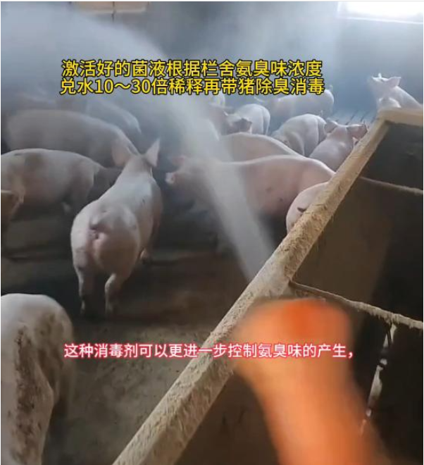豬場(chǎng)除臭1.png